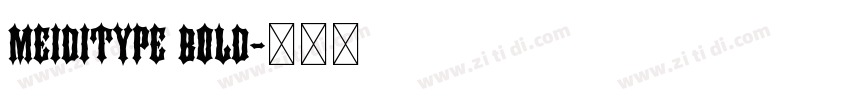 MEIDITYPE BOLD字体转换